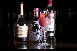 バーシェイク 2025年10月のカクテル「エルーセラ」